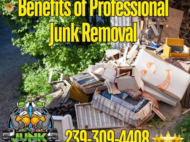 5 Benefits of Pro Junk Removal in SW Florida